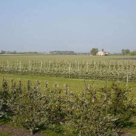 Фермерский дом Mongiorgi 