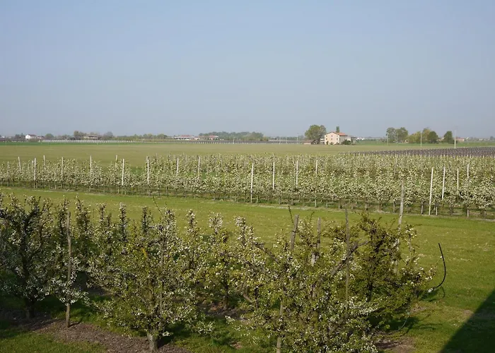 Gospodarstwo agroturystyczne Mongiorgi 